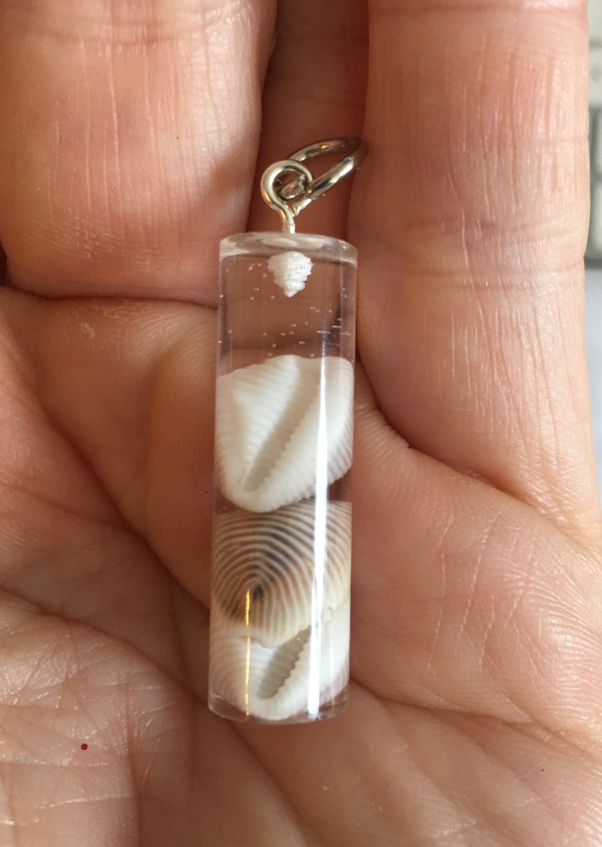 cowrie shell in clear resin pendant