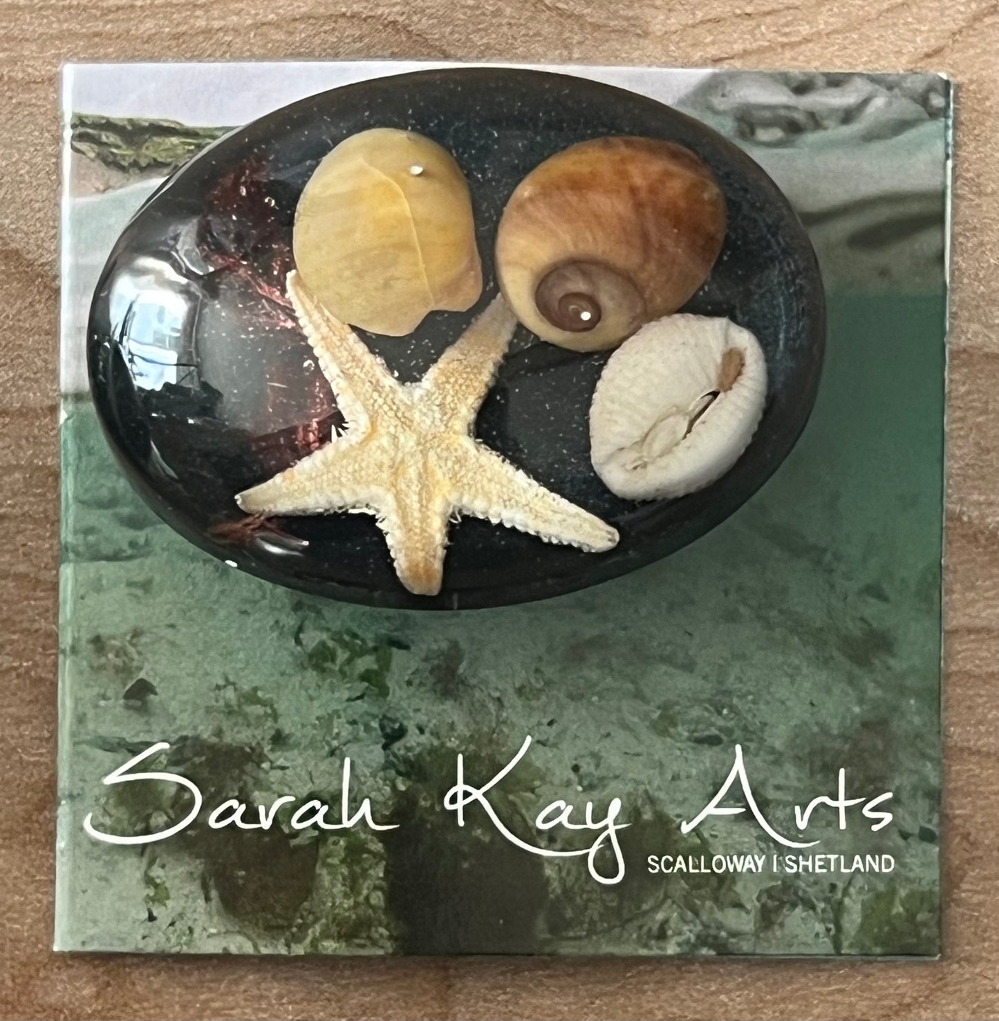 Oval Beach Treasure Brooch