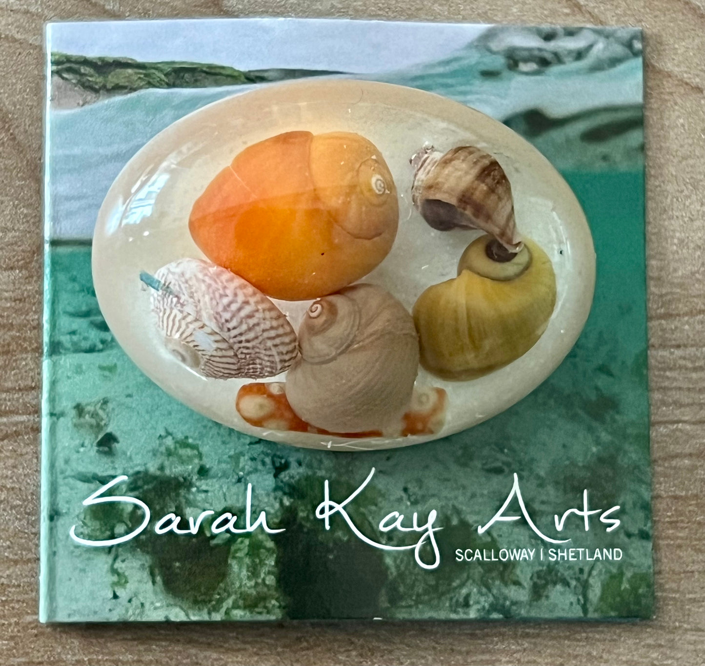 Oval Beach Treasure Brooch