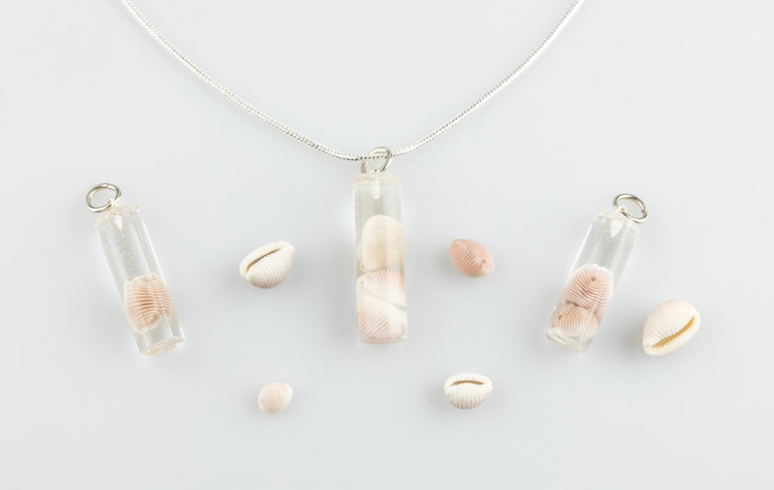 Groatie buckie pendant, Cowrie Shell.