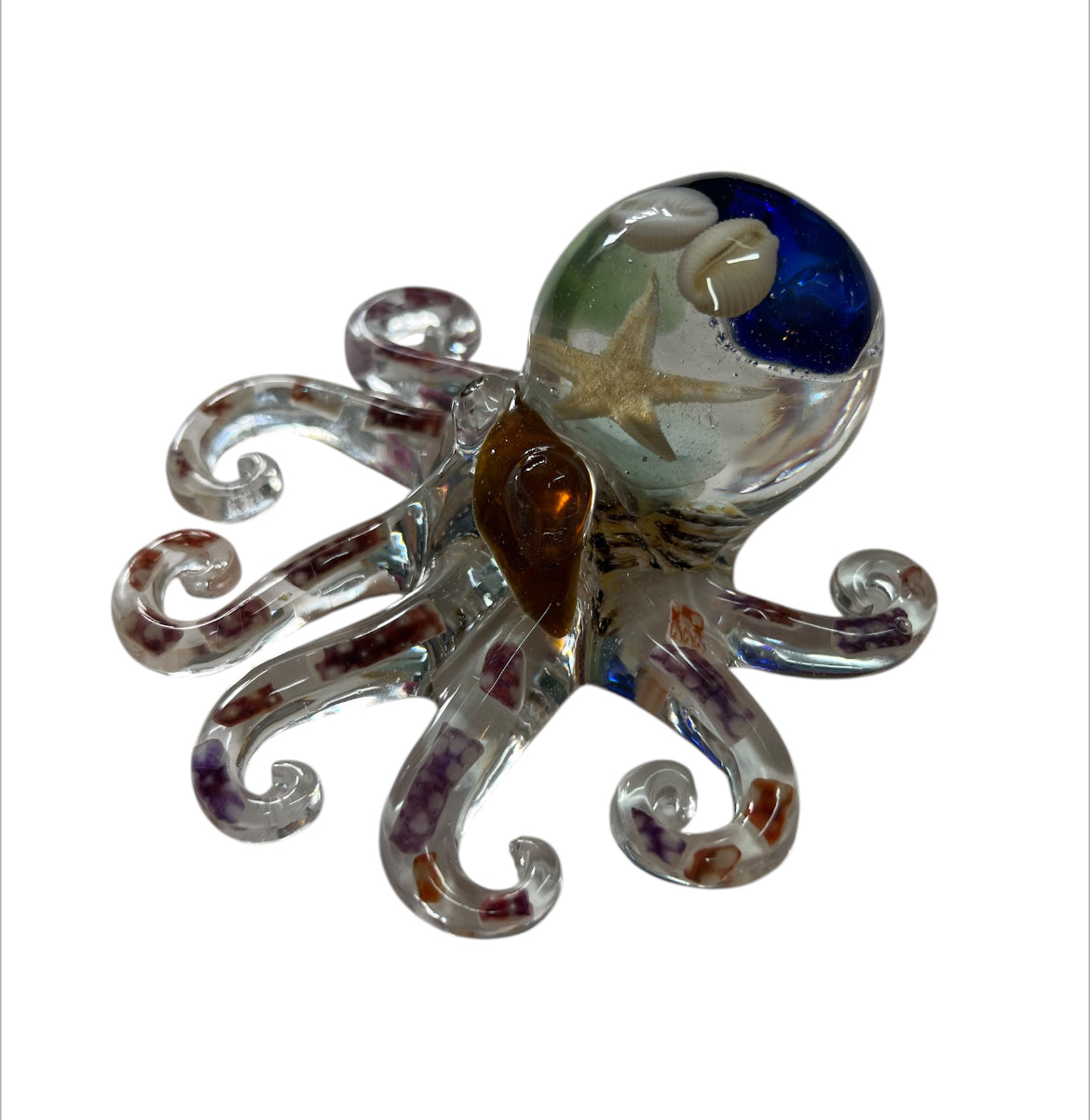 Shetland Octopus