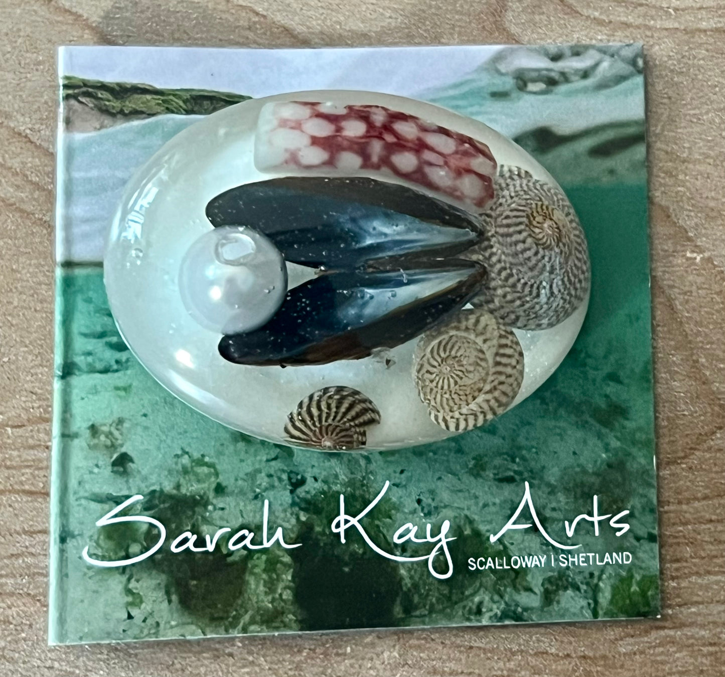Oval Beach Treasure Brooch