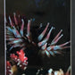 Dahlia sea anemone- photo print.