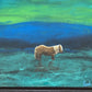 Aurora Watchers, Shetland pony art.