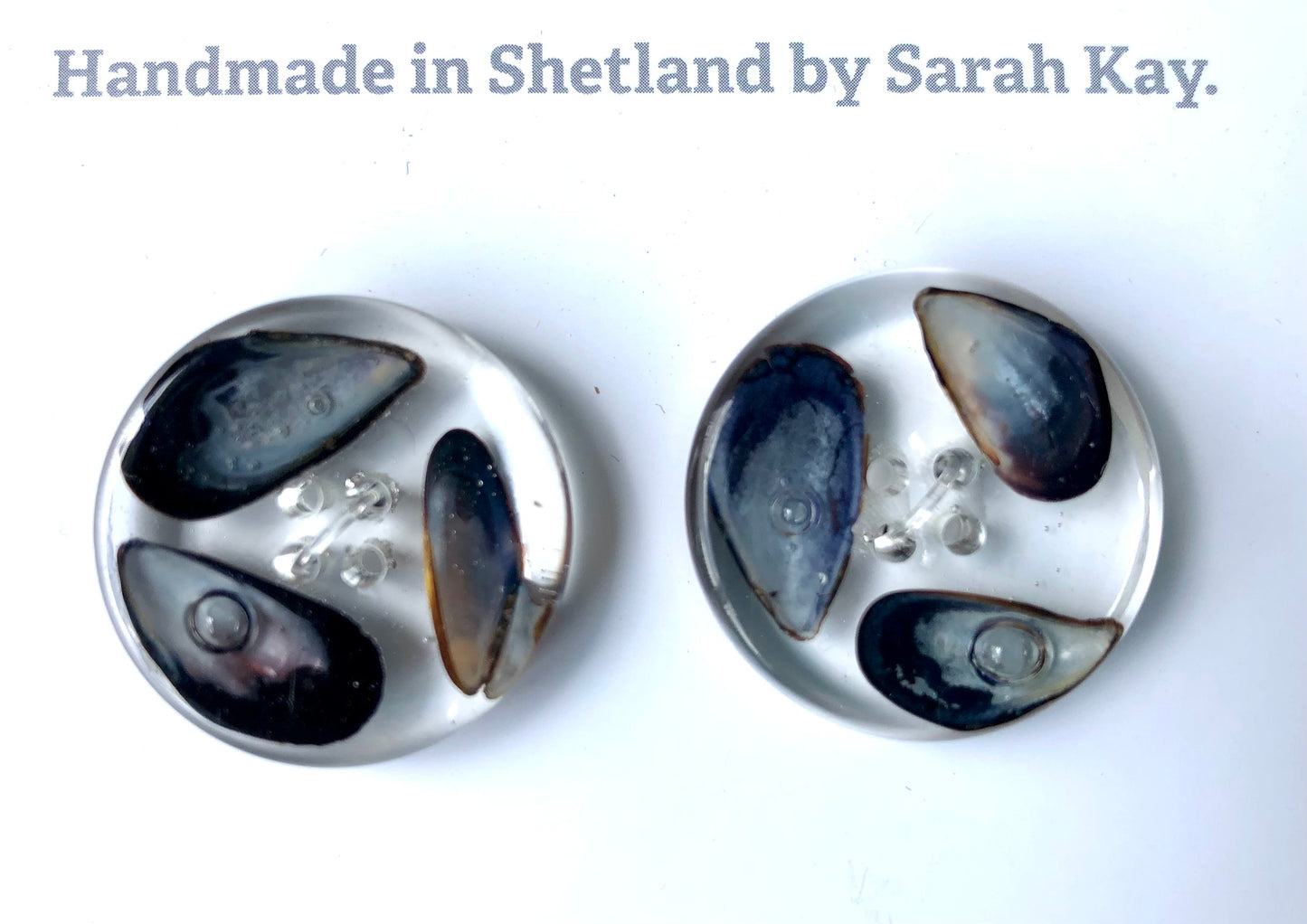 Shetland Mussel Shell Resin Buttons