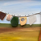 Shetland Sea glass washing line.