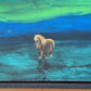 Aurora Watchers, Shetland pony art.