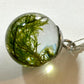 Shetland Seaweed Pendant | Green