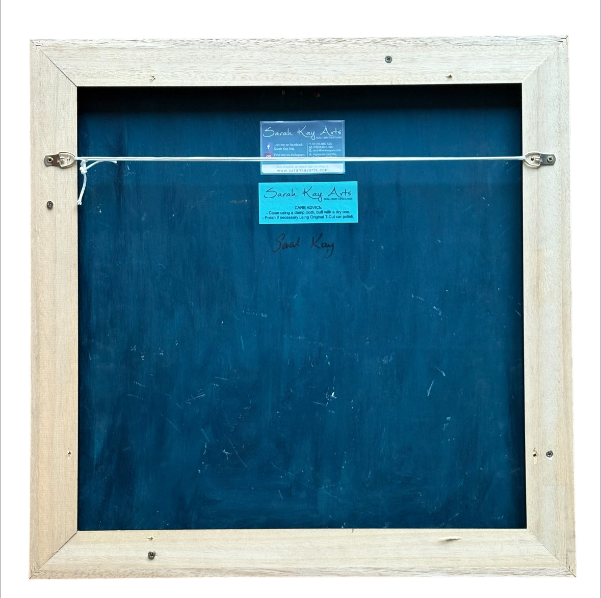 Aurora Watchers, Shetland pony art.