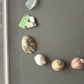 Circle of the sea - yellow shell