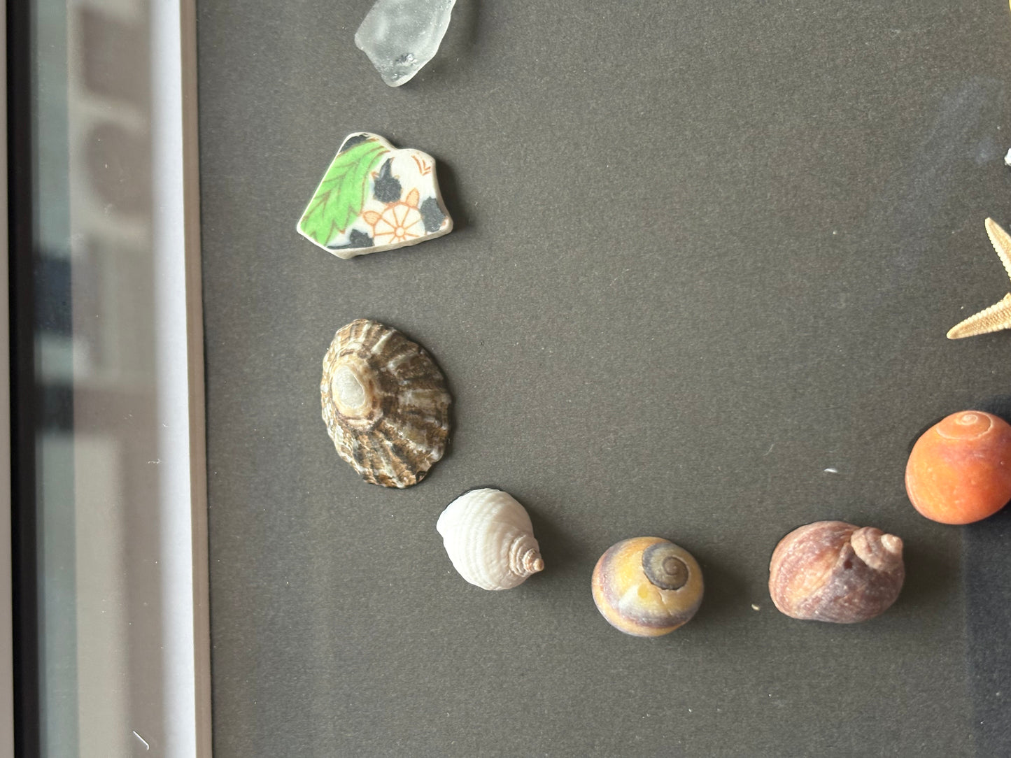 Circle of the sea - yellow shell
