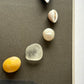 Circle of the sea - yellow shell