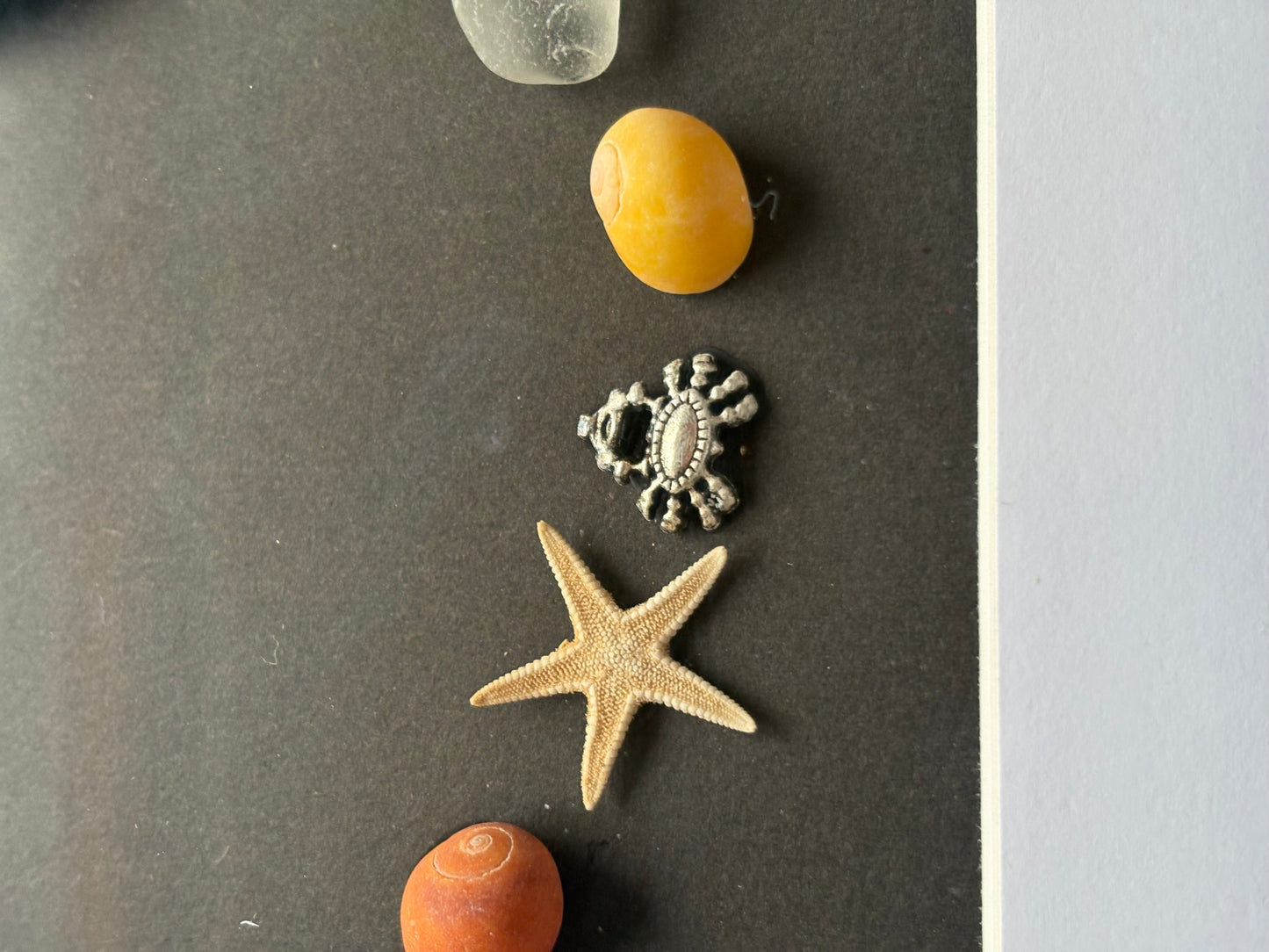 Circle of the sea - yellow shell