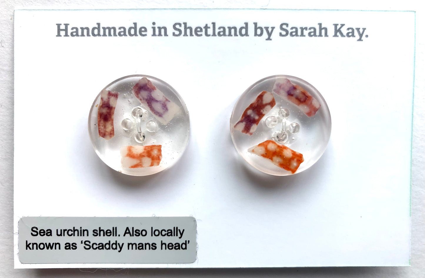 Shetland Sea Urchin Shell Resin Buttons