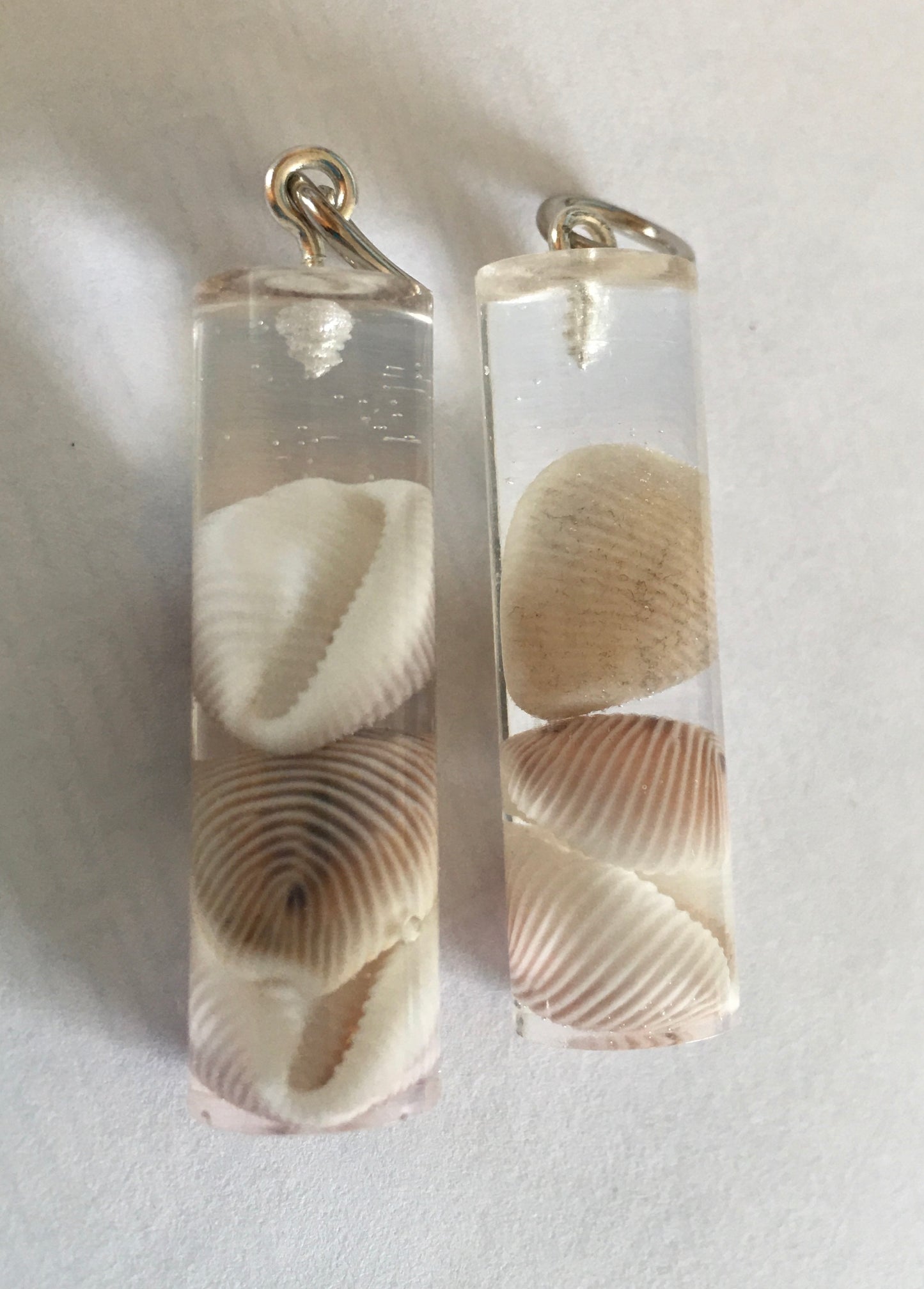 Groatie buckie pendant, Cowrie Shell.