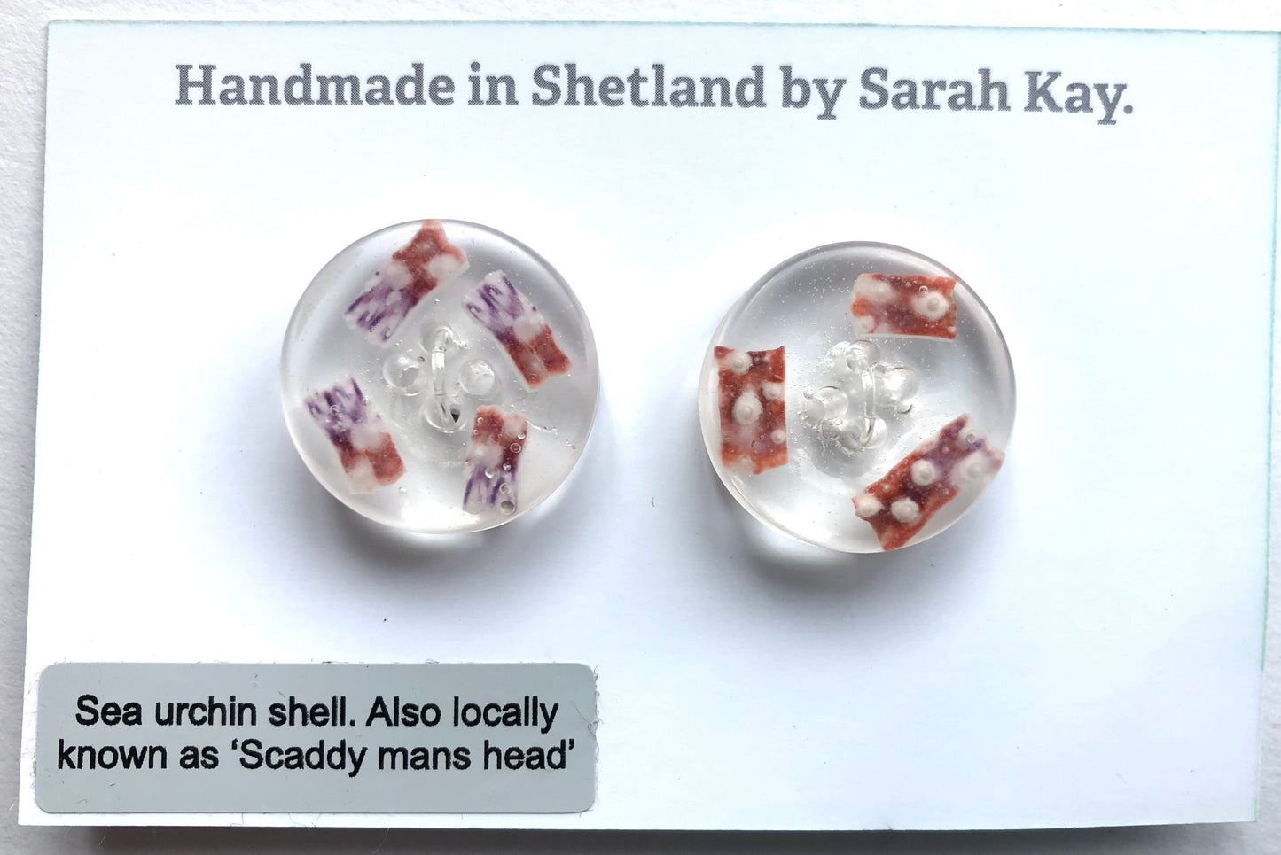 Shetland Sea Urchin Shell Resin Buttons