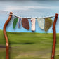 Sea glass washing line.