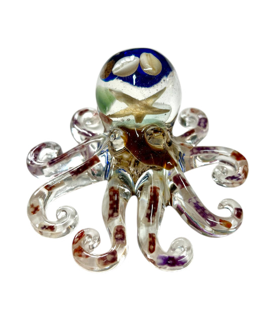 Shetland Octopus
