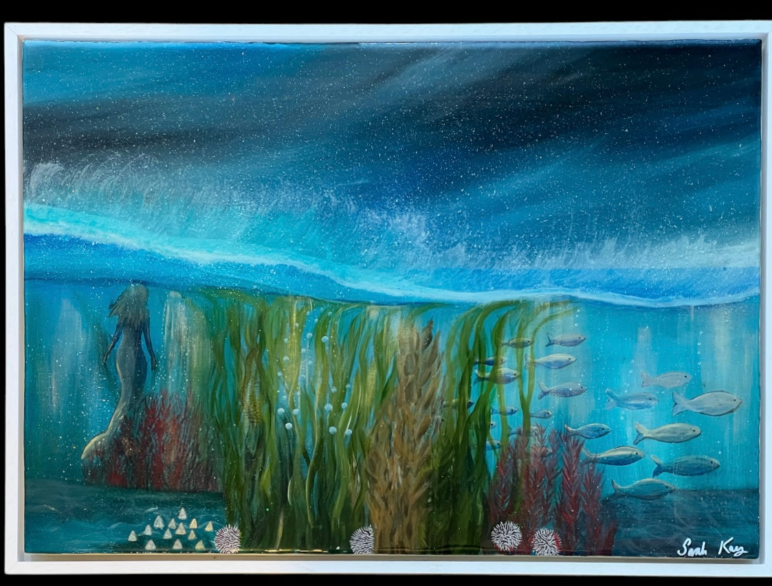 Underwater world