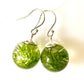Shetland Seaweed Drop Earrings