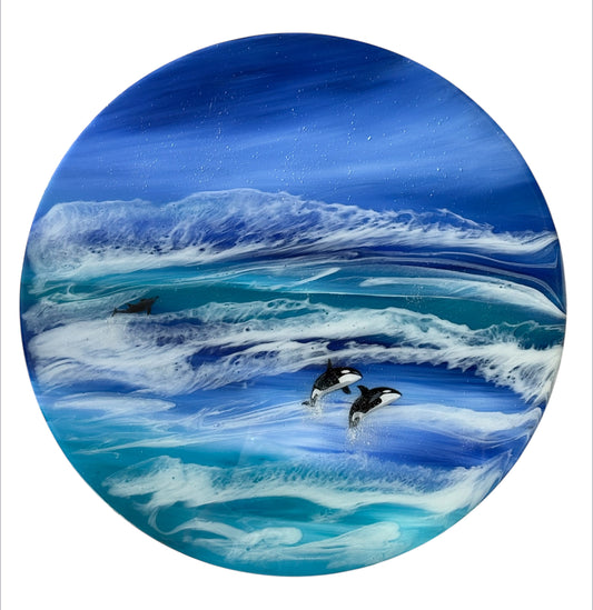 Orcas at sea | 50 cm