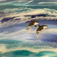 Orcas at sea | 50 cm