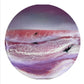 Resin Art Orca Collection | Circle 30 cms