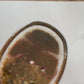 Shetland sand soap dishes
