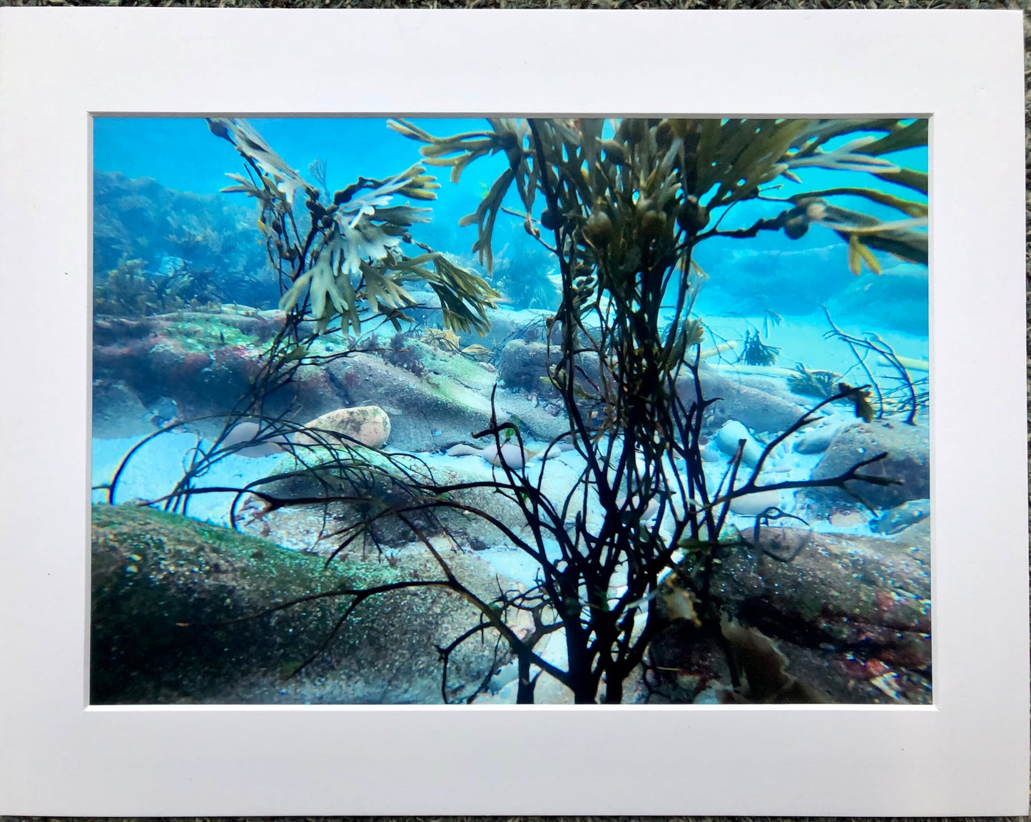 Underwater photo print-  Gulberwick.