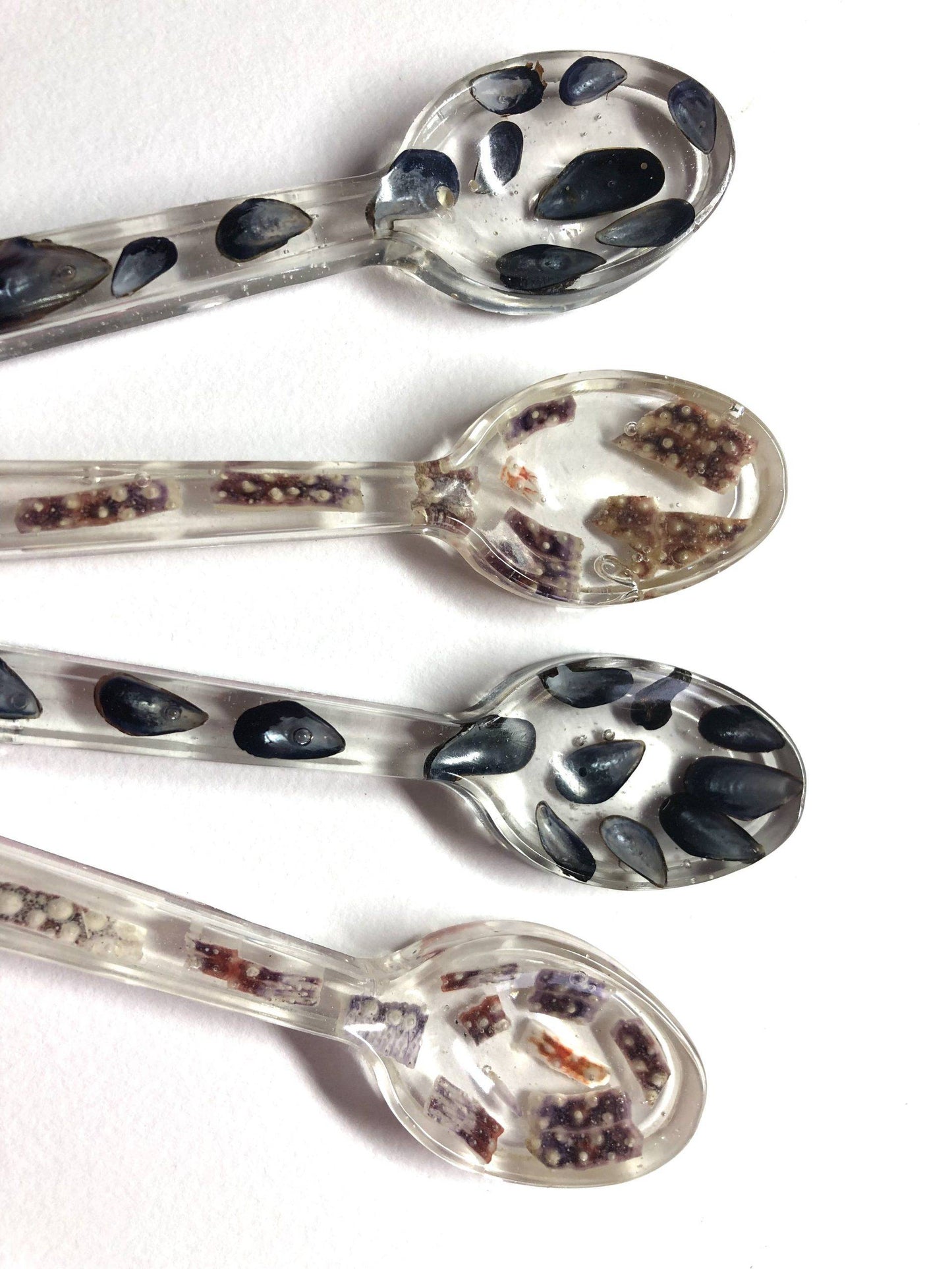 Decorative Mussel & Sea Urchin Shell Resin Spoons