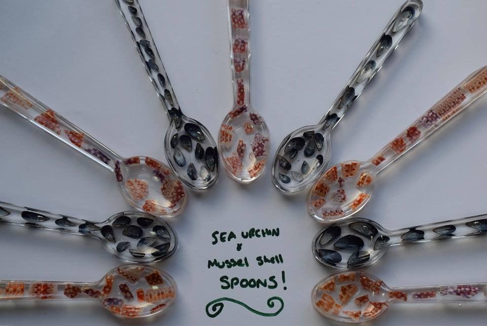 Decorative Mussel & Sea Urchin Shell Resin Spoons