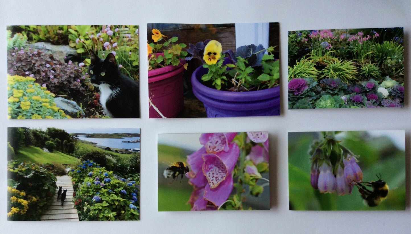 Shetland Garden Printed Cards | Pack of 6