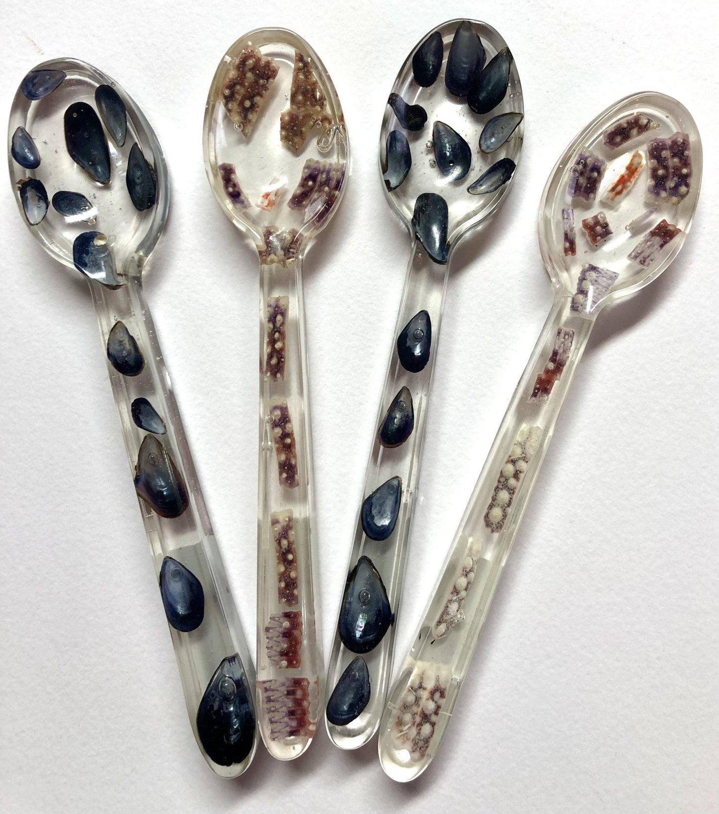 Decorative Mussel & Sea Urchin Shell Resin Spoons