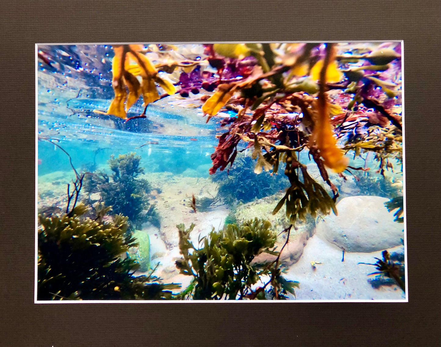 Underwater photo print-  Gulberwick.