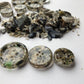 Shetland Beach Treasure Resin Buttons