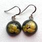 Sunset Beach Earrings With Rare Yellow Whalsay Shells