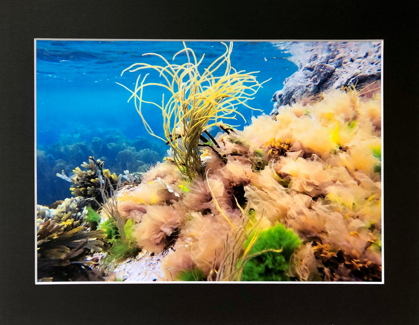 Underwater photo print