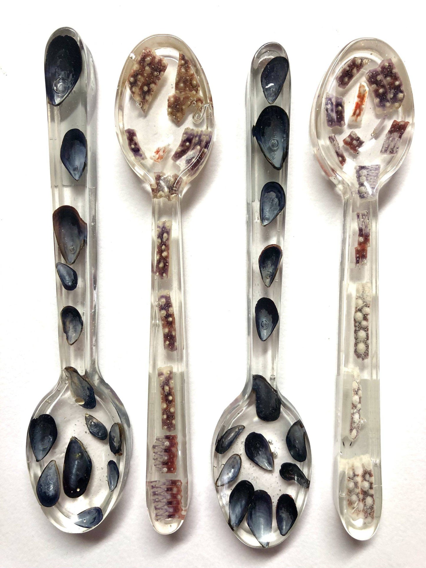 Decorative Mussel & Sea Urchin Shell Resin Spoons