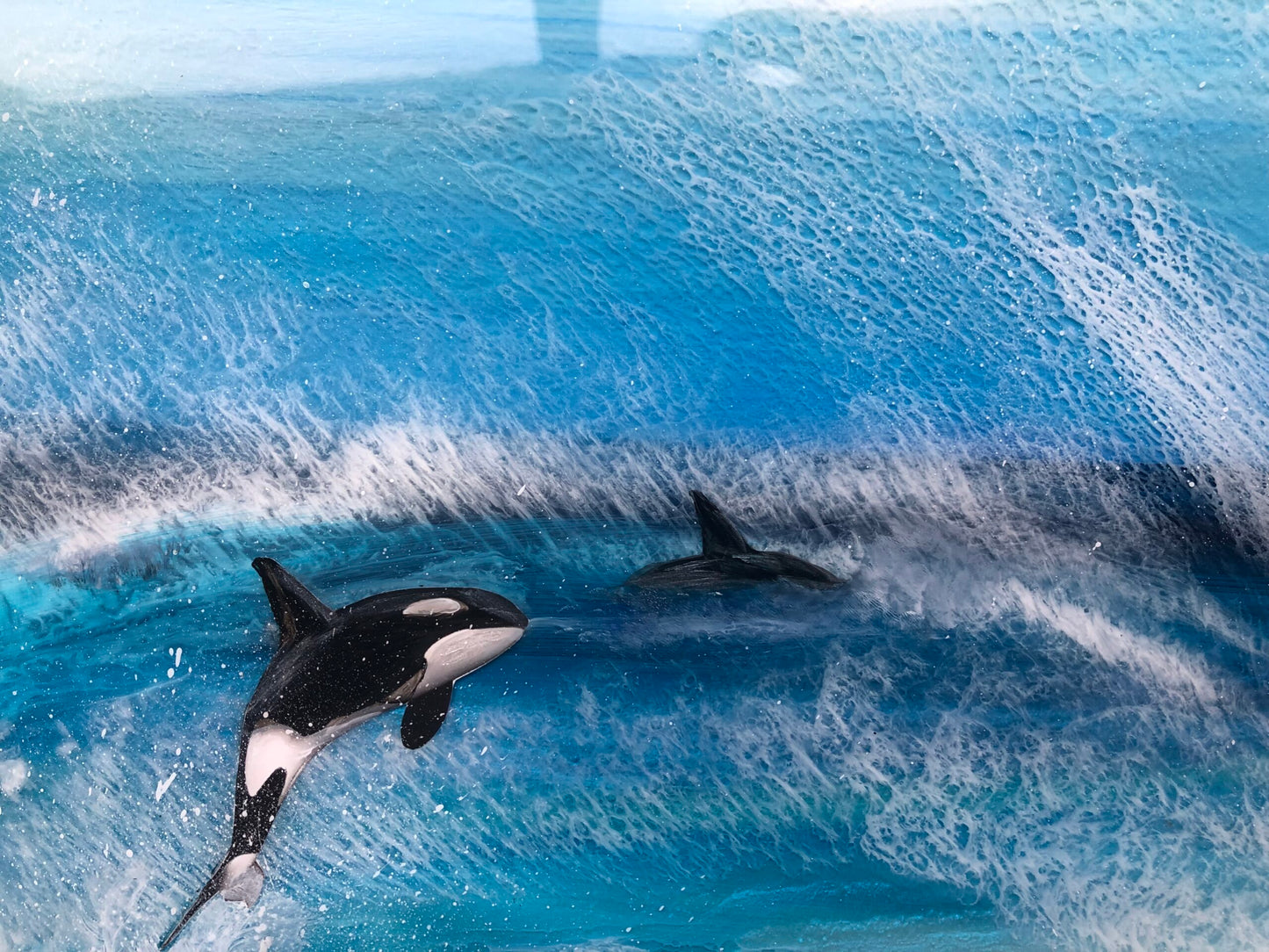 Resin Art Seascape Killer Whales | Circle 50cm