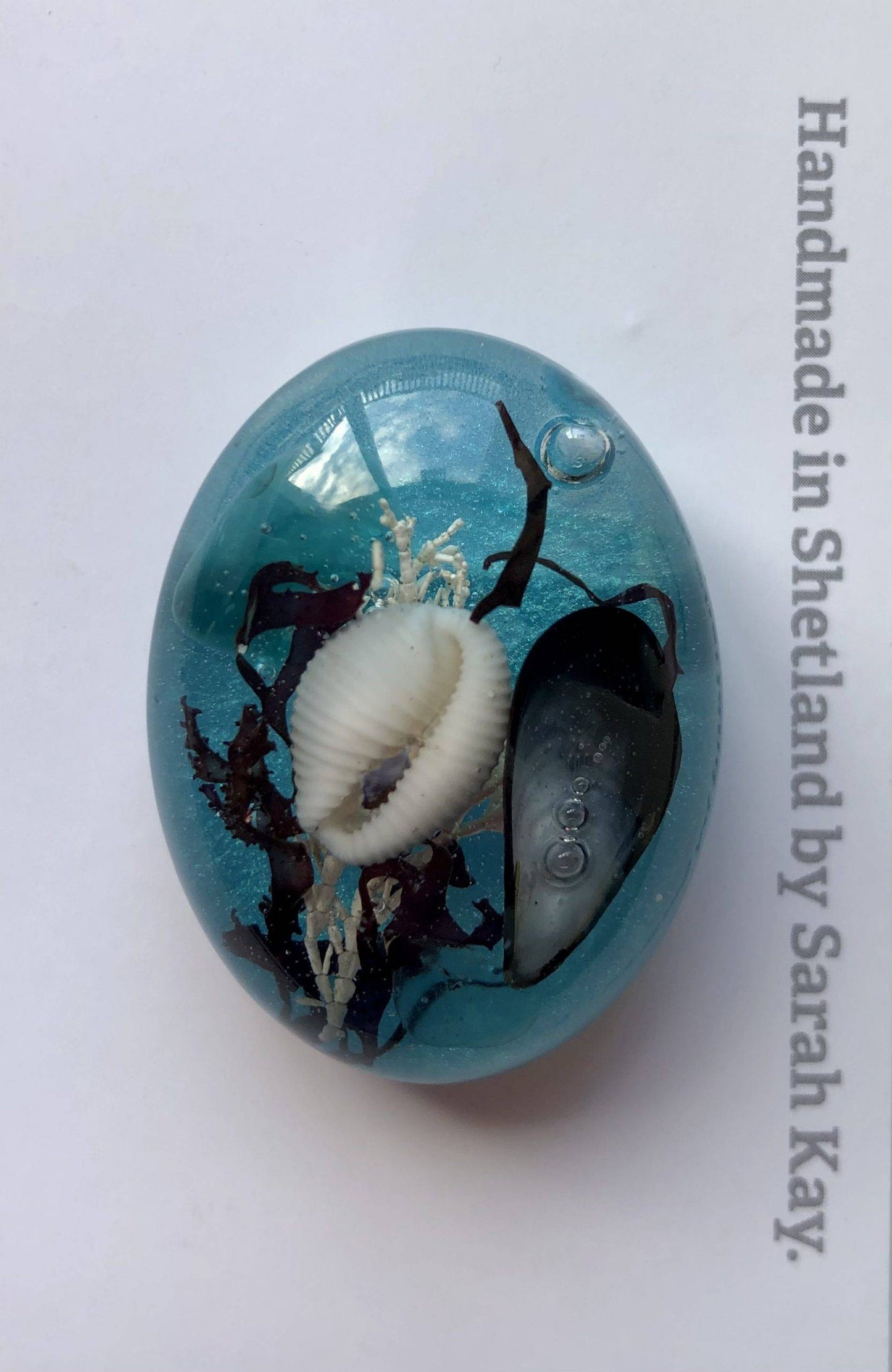 Oval Beach Treasure Brooch