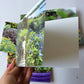 Shetland Garden Printed Cards | Pack of 6