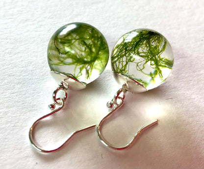 Shetland Seaweed Drop Earrings